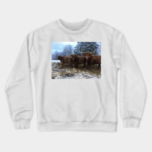 Scottish Highland Cattle Cow and Calves 1879 Crewneck Sweatshirt